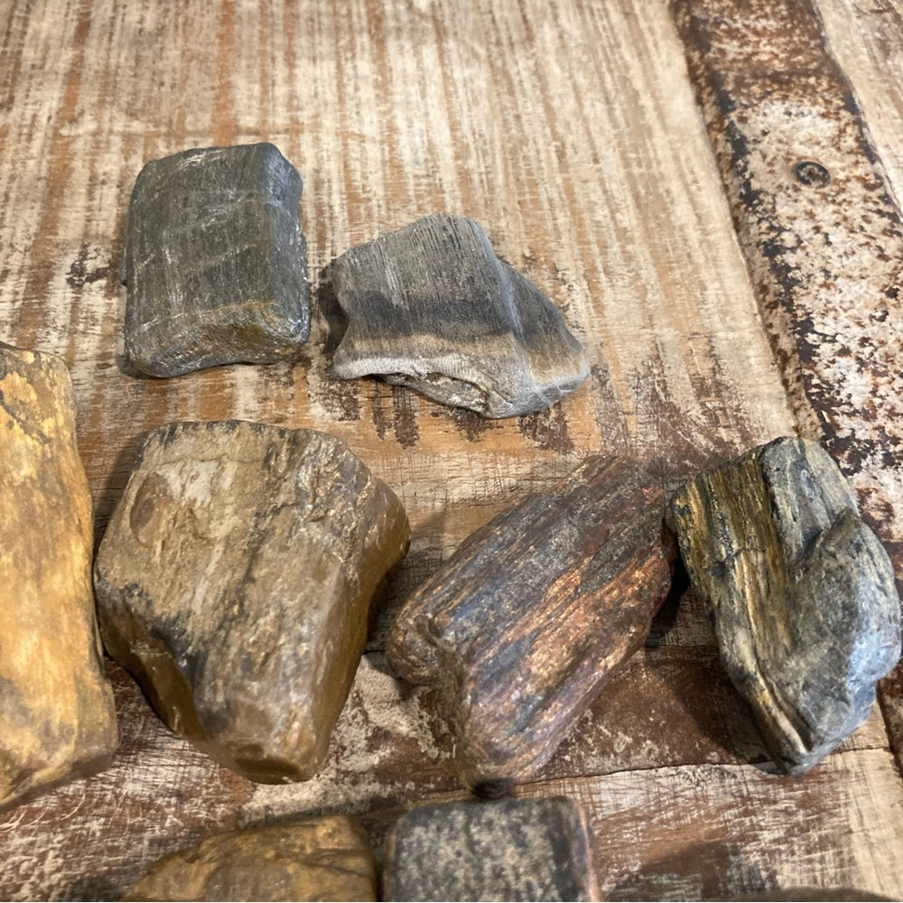 17pcs Petrified Wood 🪵 Rock Collection - Picture 13 of 17